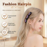 Sparkling Crystal Stone Braided Hair Clips for Women and Girls (Mix, 4PCS)